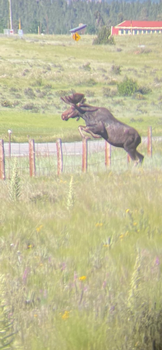 CPW NE Region tweet media