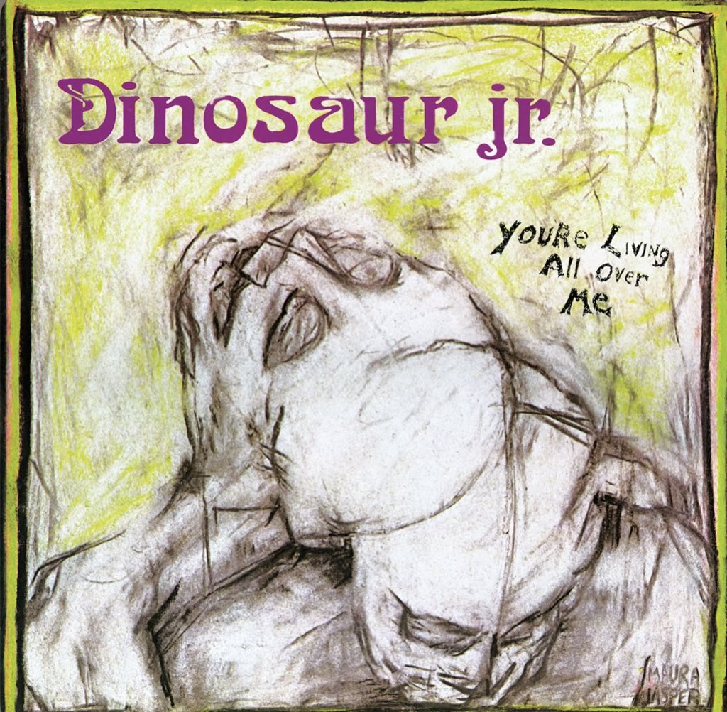 やっぱダイナソーJr.が最高なんだよな〜ROCKの良さとは全て🈁にある訳