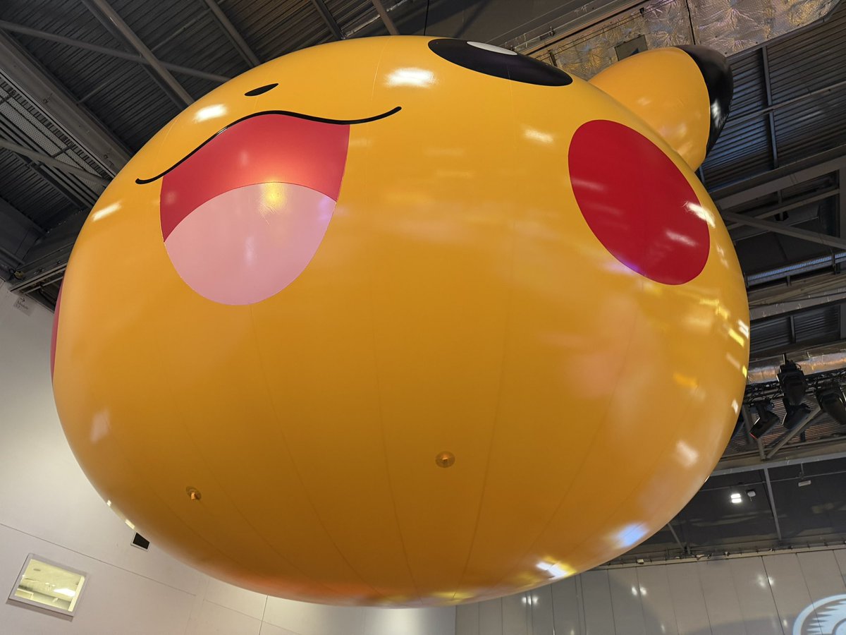 Bernardo Godinho tweet media