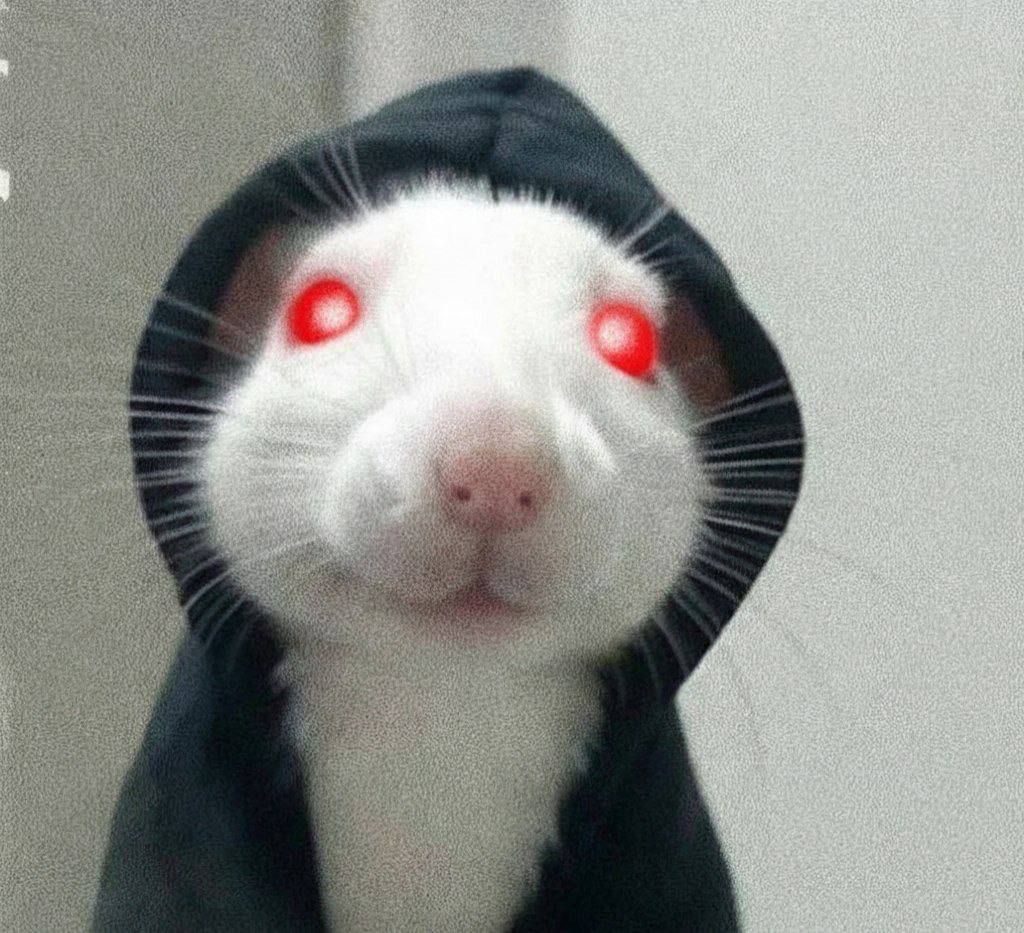 Lazer eyes like super man