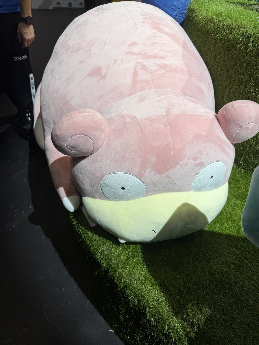 Bernardo Godinho tweet media