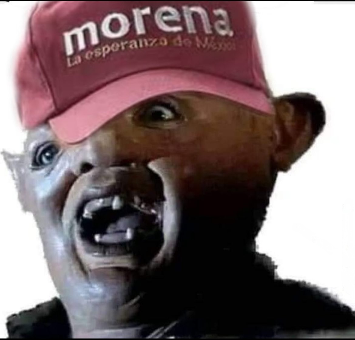 Luis Acvs' tweet media