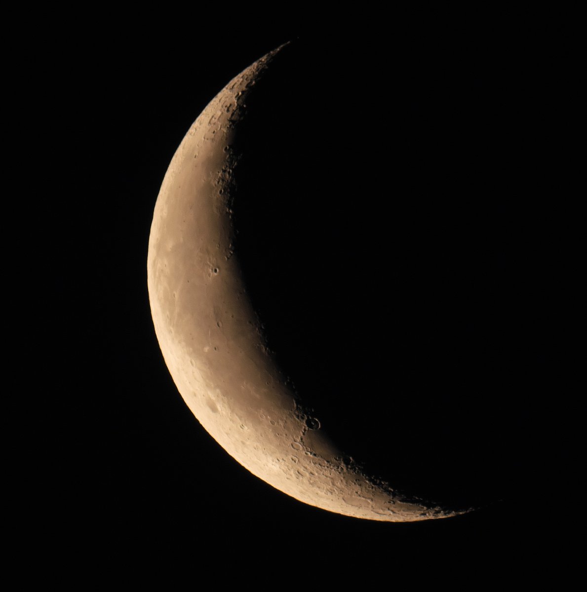 月世界への招待🌙🔭 tweet media