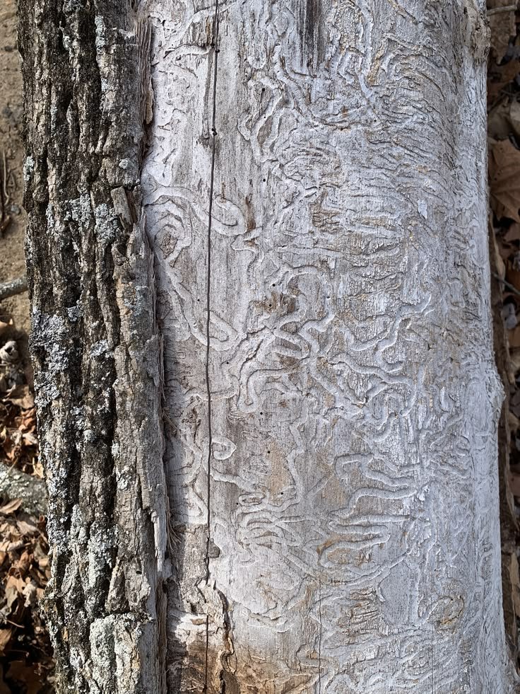 The paths that will lead you to me