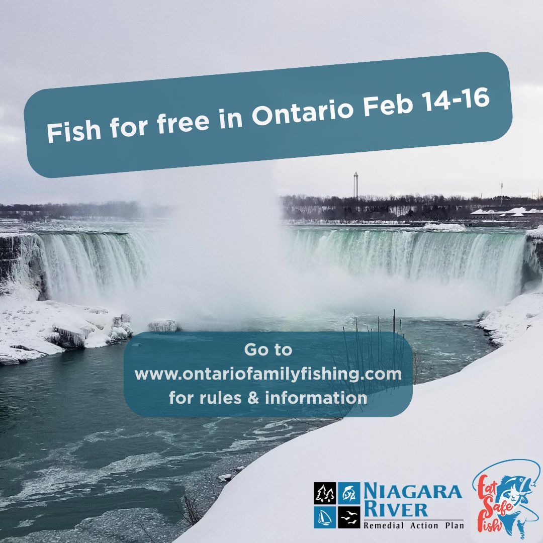 Niagara River RAP (Canada) tweet media