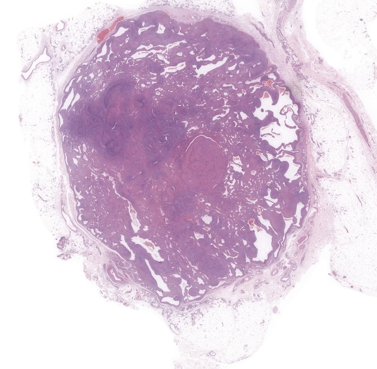 A. Sarah Erem tweet media