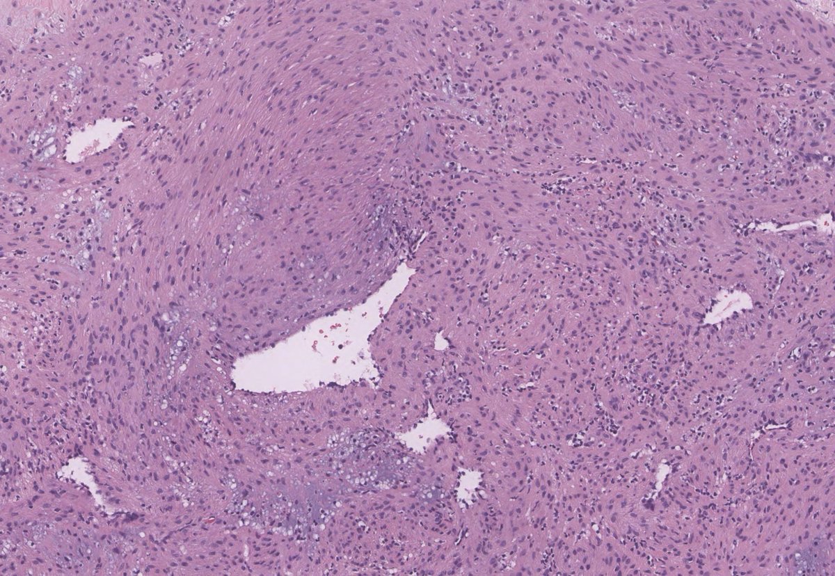 A. Sarah Erem tweet media