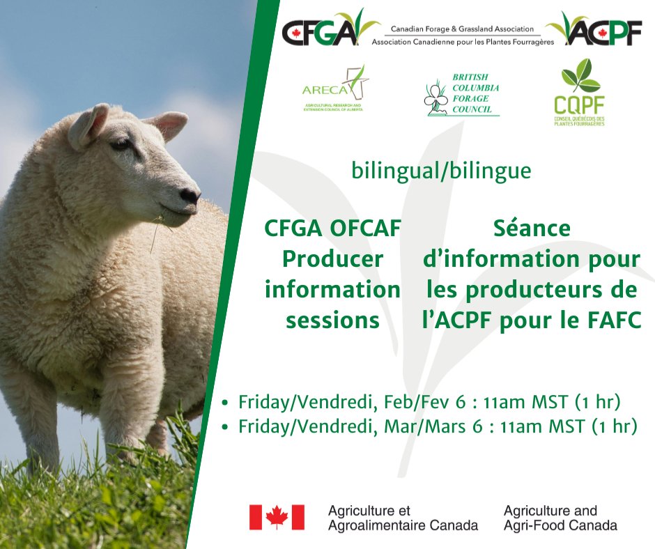 CFGA_ACPF tweet media