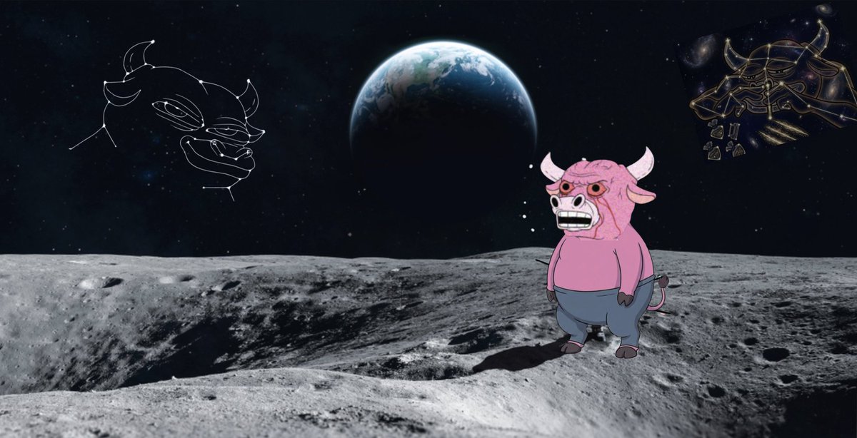 Shoot for da stars u mootarded idiots