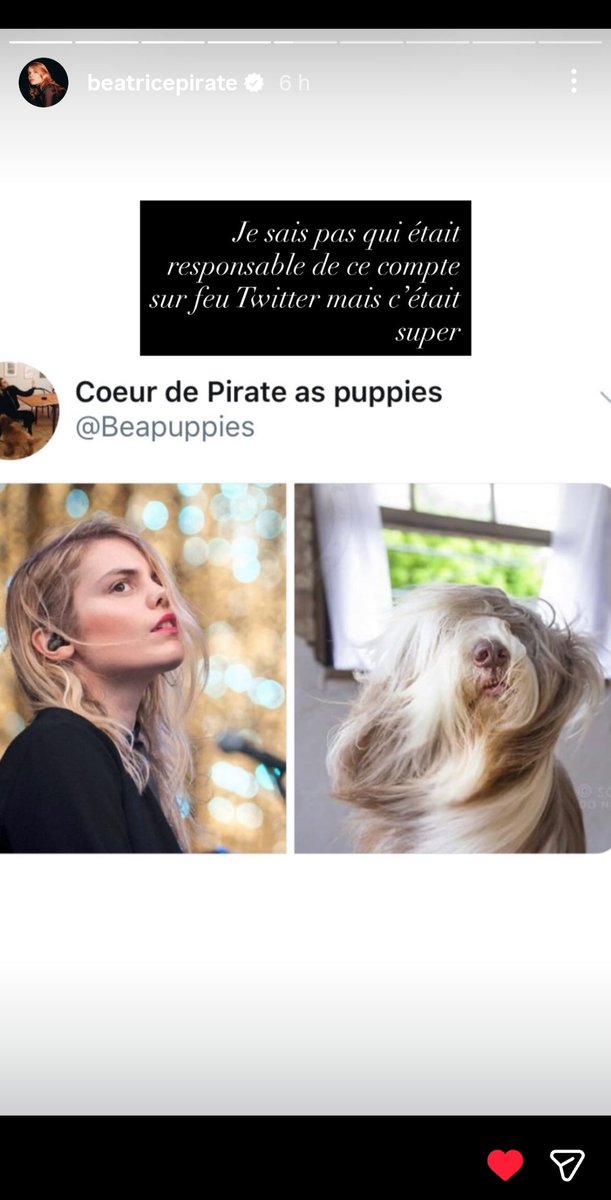 Coeur de Pirate as puppies tweet media