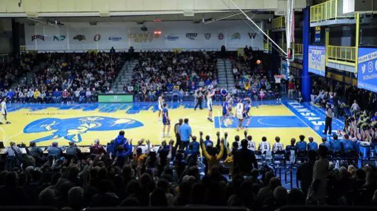 Cameron love tweet media