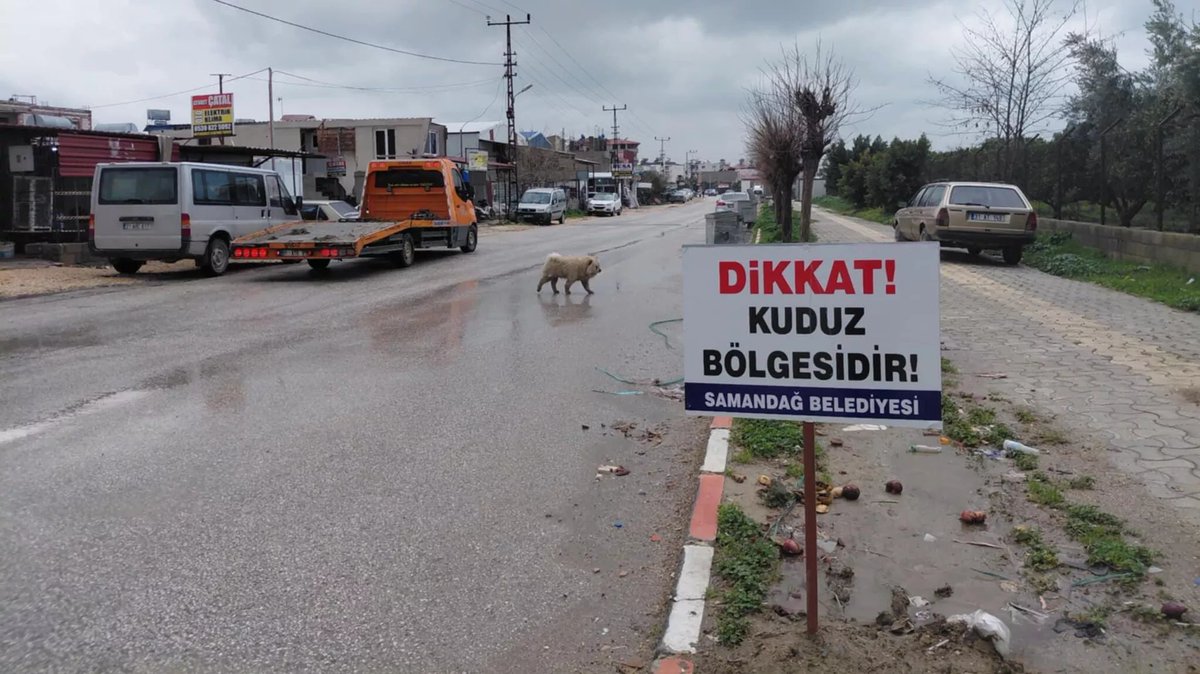 Kuduz yönetmeliğine göre, karantina merkezinin 40 km yarıçapı alanında,

Başıboş hayvan bulunamaz, aşılı olsa bile serbest dolaşamaz...
Karantinanın amacı budur.

Burada, görüntüde karantina var, gerçekte YOK !

Hatay'da mucizelere imza atıp, Kuduzu, grip sanmak  ⬇️