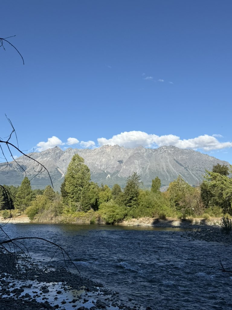 willielorenzo's tweet image. Visitando a mi amiga sabía #patagonia