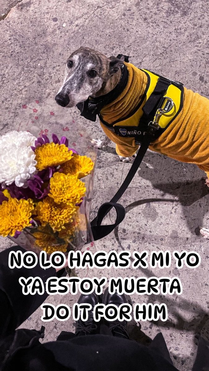 AgustinaGaitan's tweet photo. Hola gente de twitter, lamento que se enteren de esto así pero a mi flaco le encontraron un tumor en el bazo (no googleen  si no quieren amargarse) por lo que estoy haciendo una rifa, valor $7000. Se agradece rt https://t.co/u9vR7ev9rR