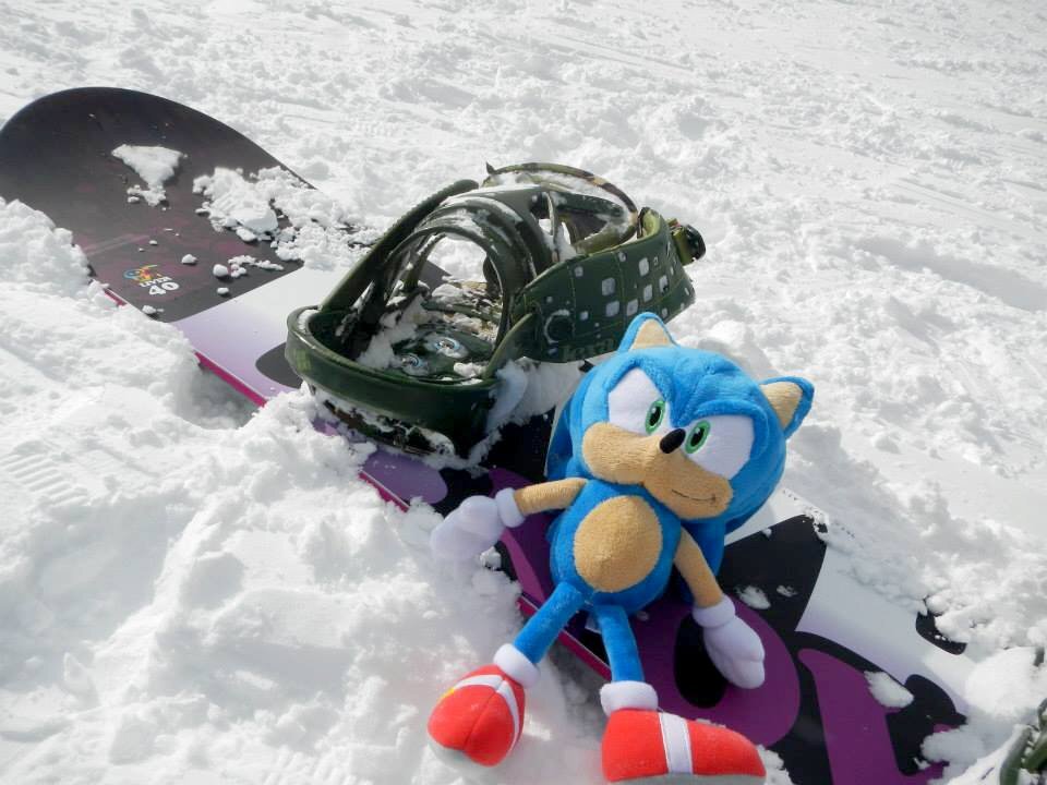 [閒聊] SEGA財報表示買憤怒鳥特別損失313億日圓 - 希洽 - PTT.BEST 批踢踢爆文 3