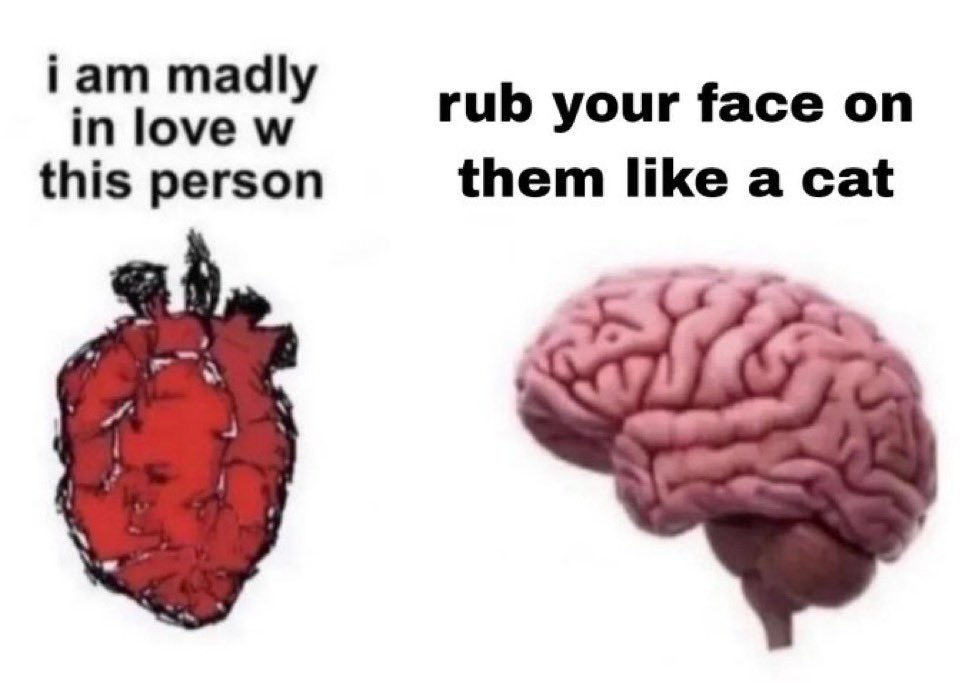 ♡ (@astralbaes) on Twitter photo 