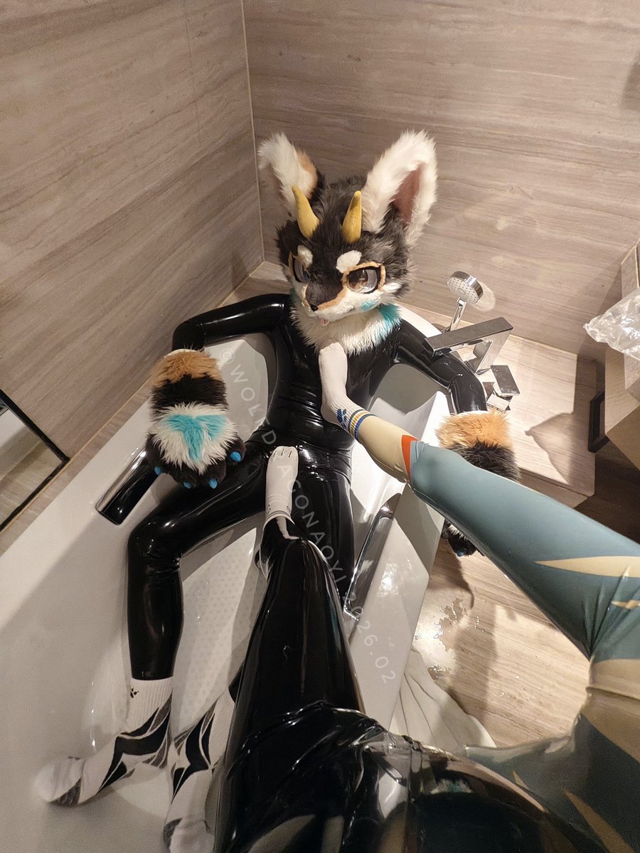 和蓝色小狼贴贴 最后会被踩踩（掏小本记下）
Playing with the blue wolf will be ended in stepping on...(taking notes)
🐺：<a href="/fcs1426381/">方程式</a>
📸：<a href="/megrezbunny/">文曲兔</a>
#FursuitFriday #latexfur #rubberfur #白袜