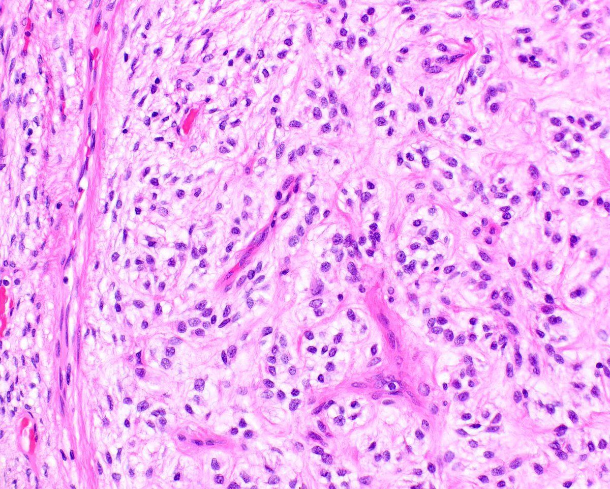 Modern Pathology tweet media