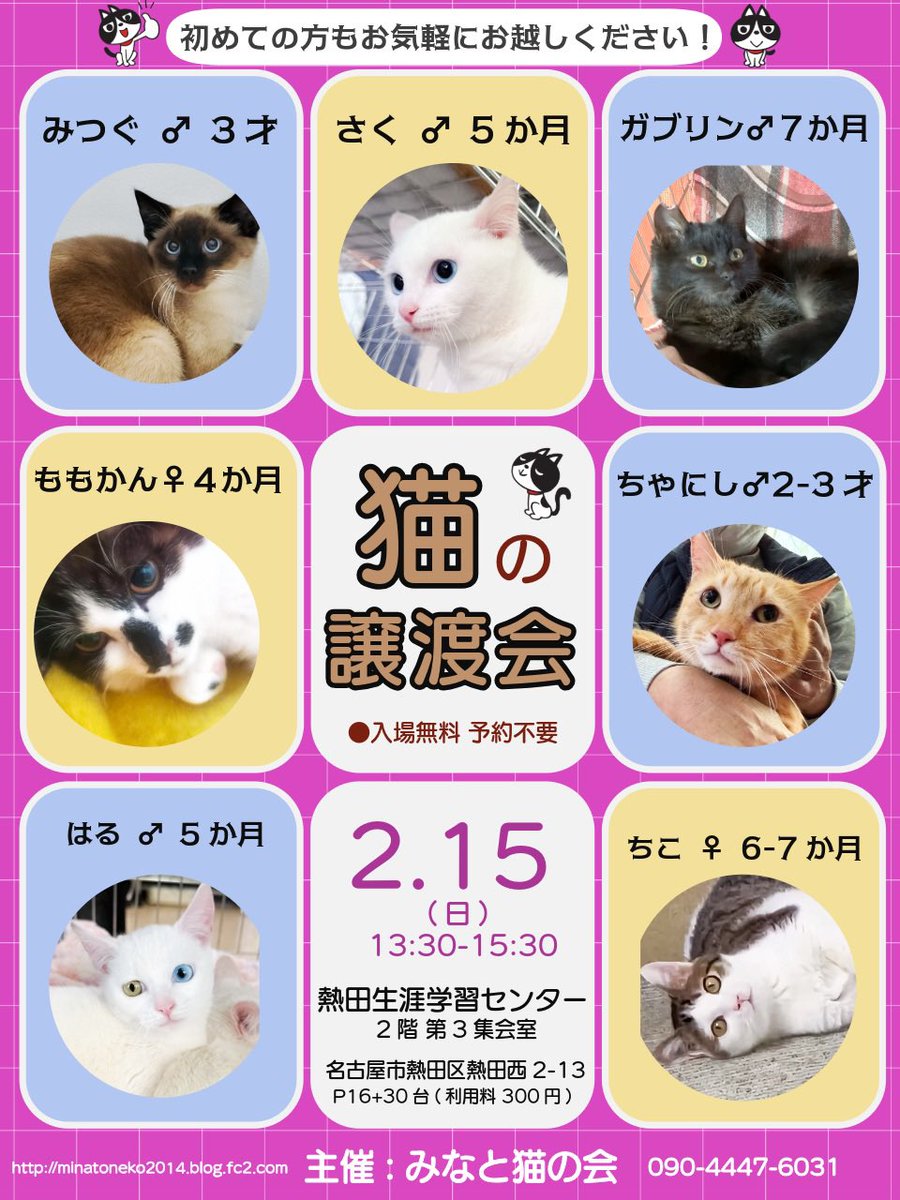 ねこまた (@nekomata_club) / Posts / X