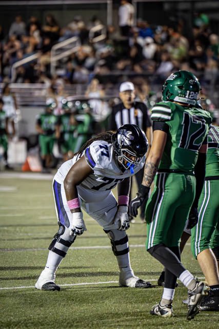 Elijah Flores tweet media