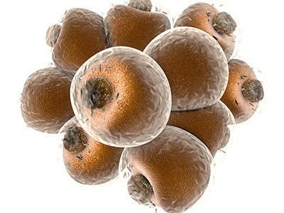 Biocompare tweet media