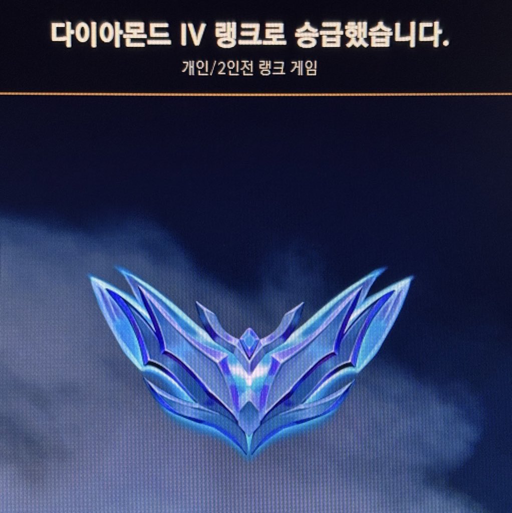 곰방가요 tweet media