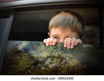 Dan Grace tweet media