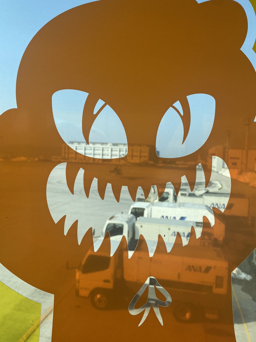 行ってきます✈️