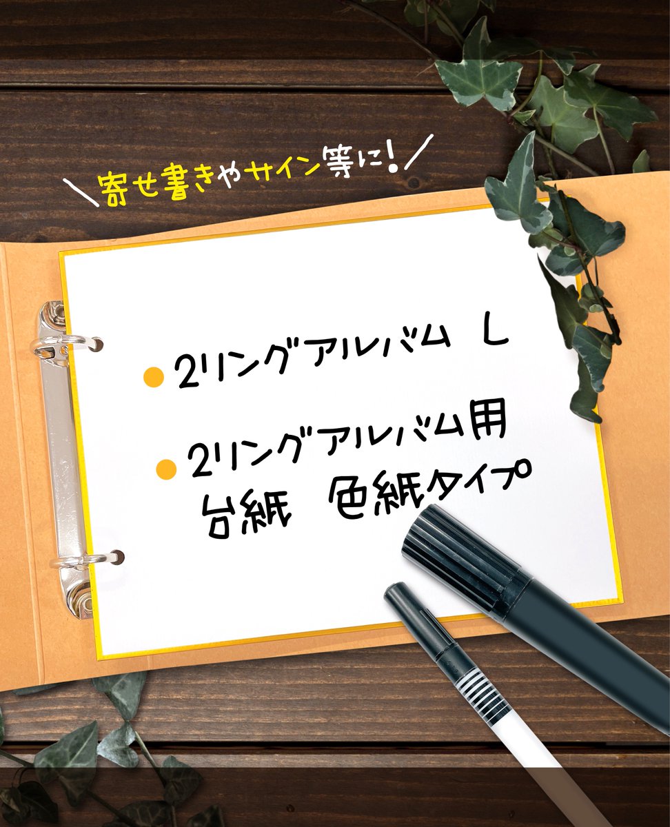 ファイリングに便利な2リングアルバムと アルバムに挟めて便利な色紙が