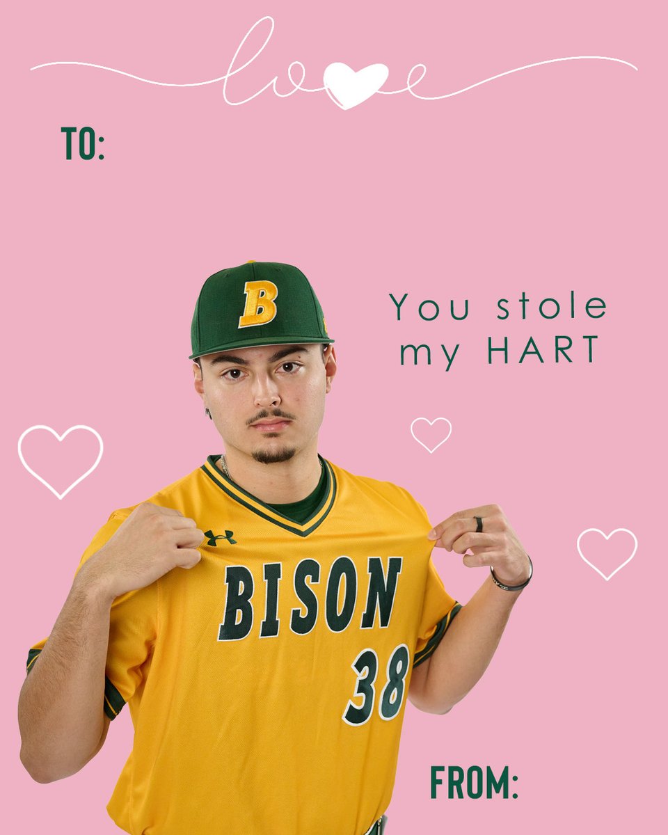 NDSU Baseball tweet media