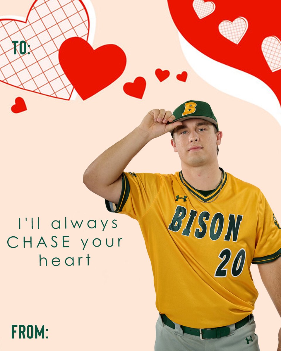 NDSU Baseball tweet media