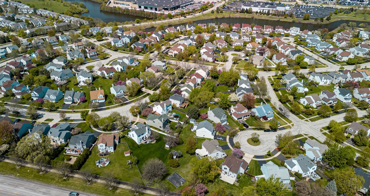 Quisitive tweet media