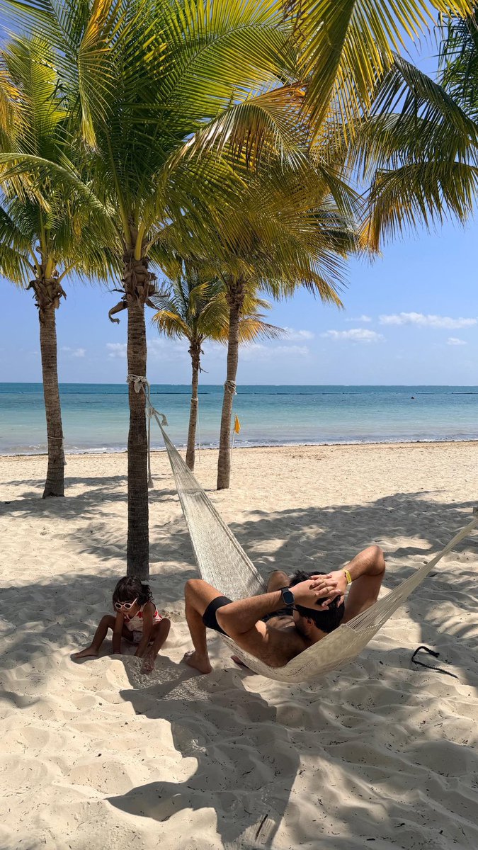 Matias Nisenson tweet media