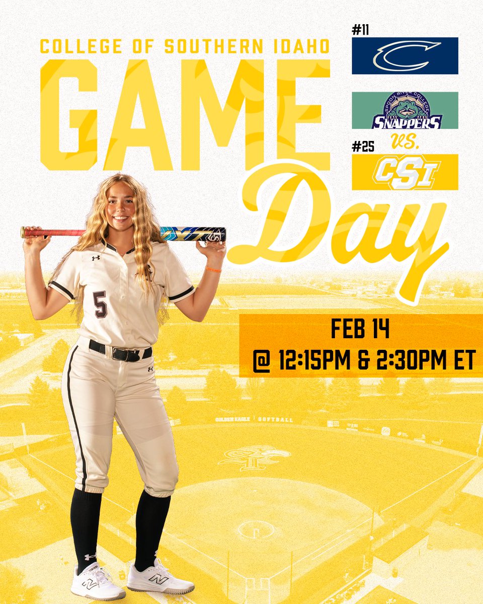 CSI Softball tweet media