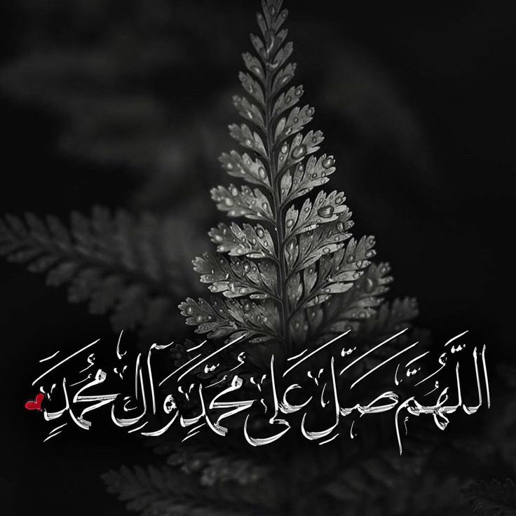 ابدأ صباحك 
بالصلاة على النبي وآله...