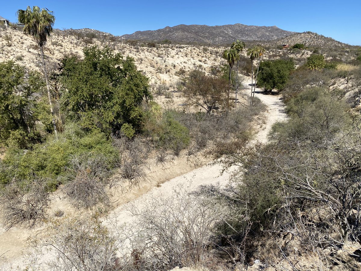 Western Geographic Science Center tweet media