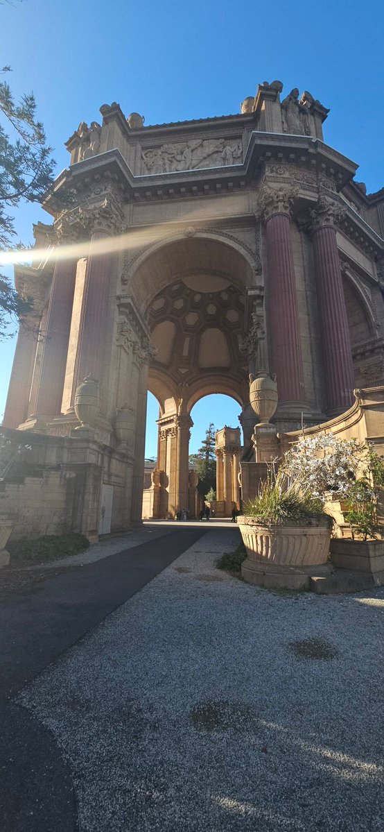 Palace of the fine shyt