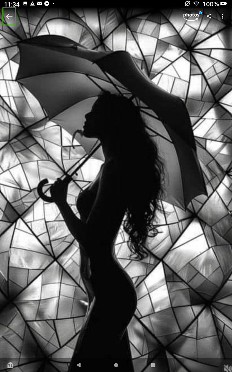 OzoneparkPatti's tweet photo. Her skin smells of vintage books and pale moonlight. Exotic things, forbidden loves, and rainy nights.

~Melody Lee https://t.co/tPxNt3KeKK