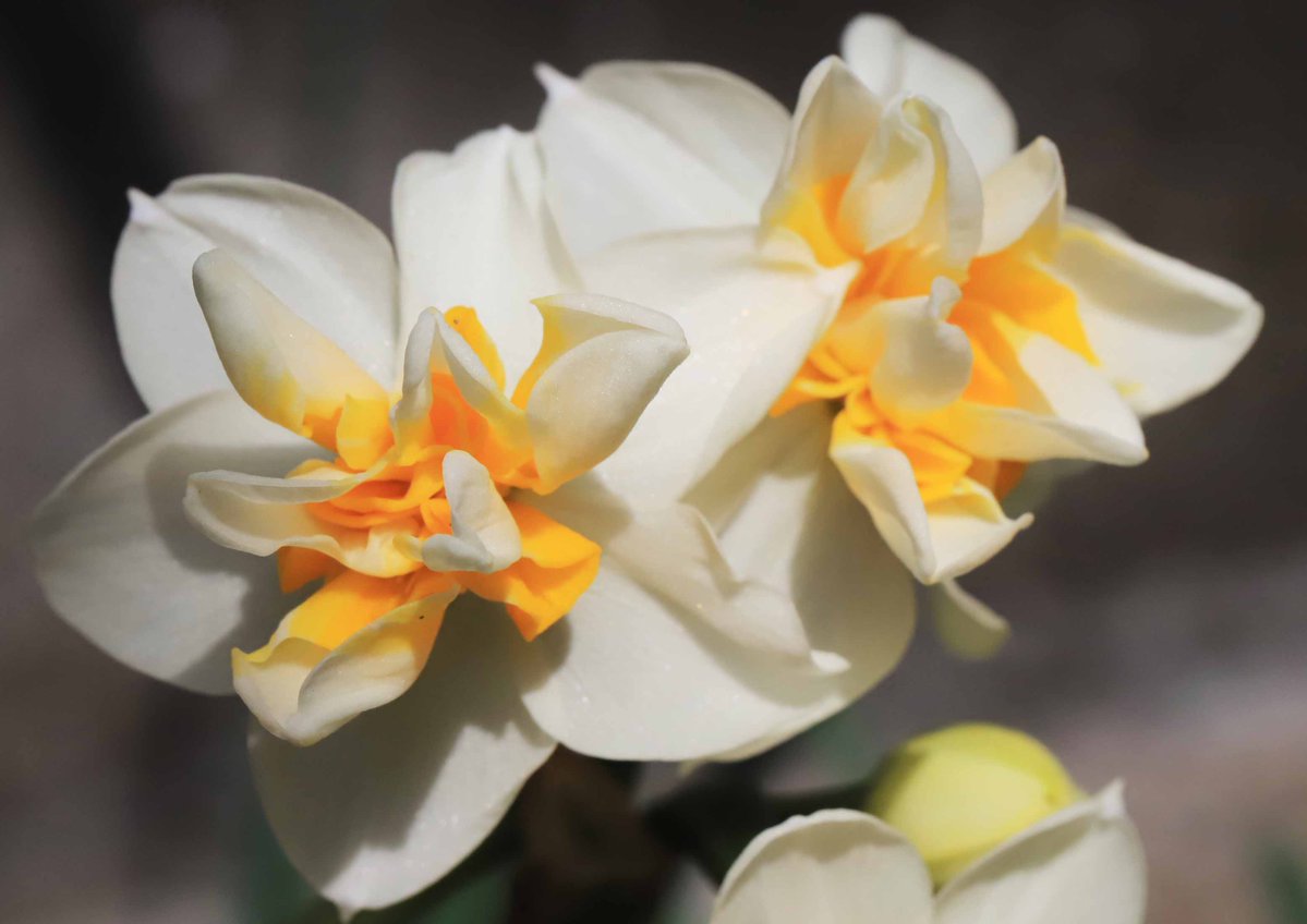 「天を仰いで深く息をつき、その人に向かって、『エッファタ』と言われた。これは、『開け』という意味である。」(マコ7)
自分で勝手に「もう駄目だ」と思い込み、心を閉じてしまいがちな私たち。思い込みを捨てて心を開き、私たちを救いに導く、神さまの声を聞くことができますように。片柳神父