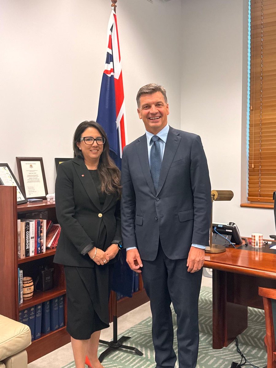 Senator Leah Blyth tweet media