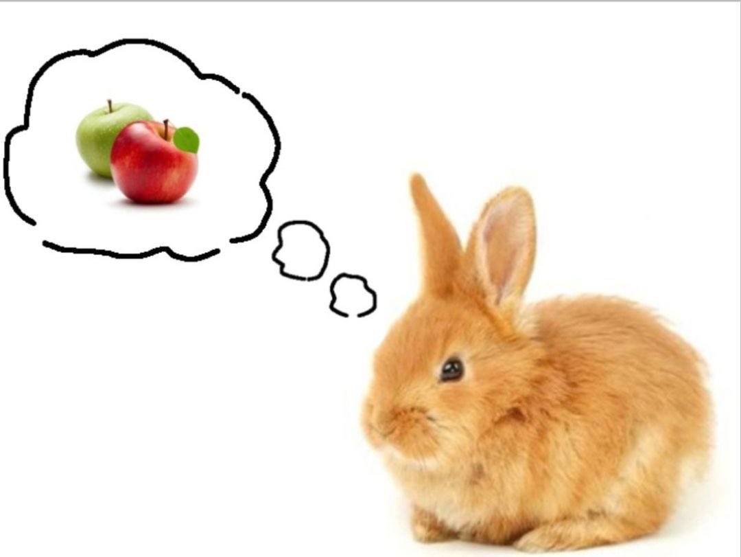 <a href="/fawnteas/">fawn</a>