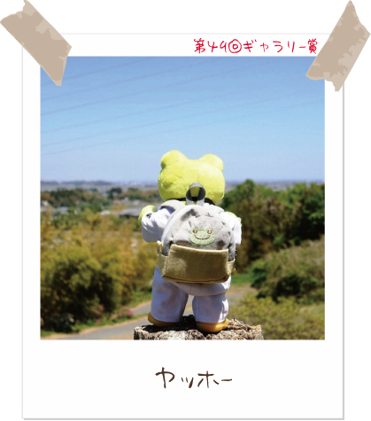 かえるのピクルス/pickles the frog (@picklesthefrog6) / Posts / X