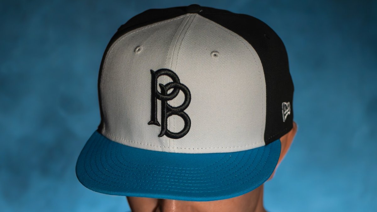 Fort Wayne TinCaps tweet media