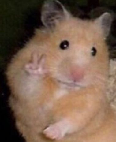 ໒Ꭰaℓu¹¹࿐ tweet media