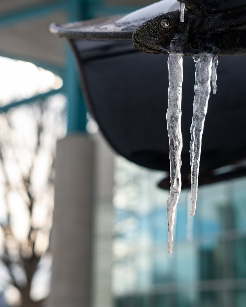 Ohio State Newark tweet media