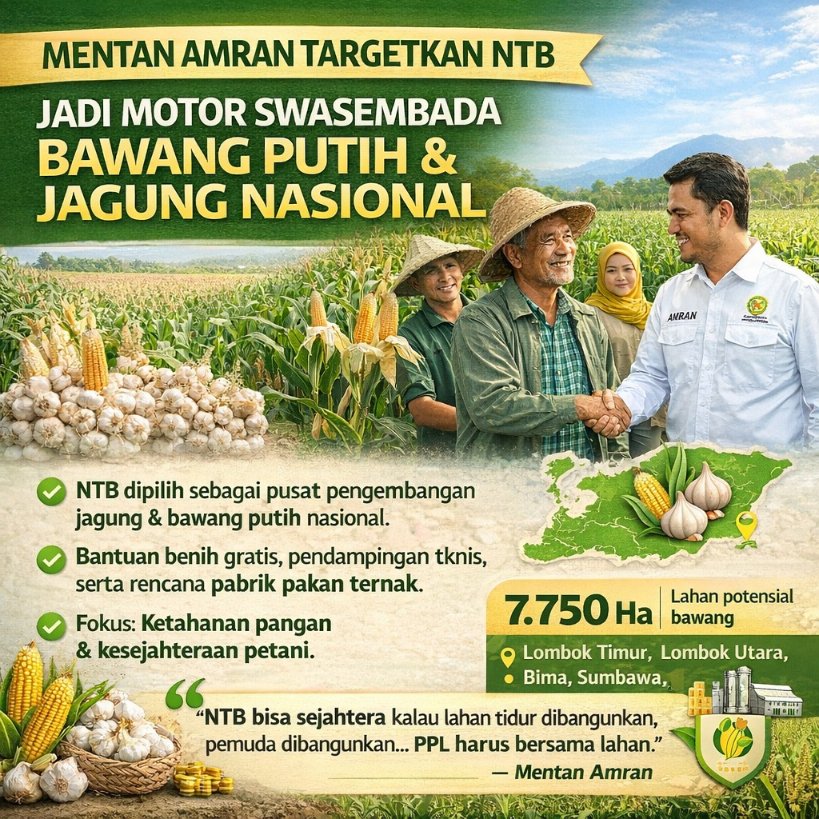 KotaNusantara's tweet image. NTB Jadi Motor Swasembada Bawang Putih dan Jagung Nasional

#SwasembadaPangan