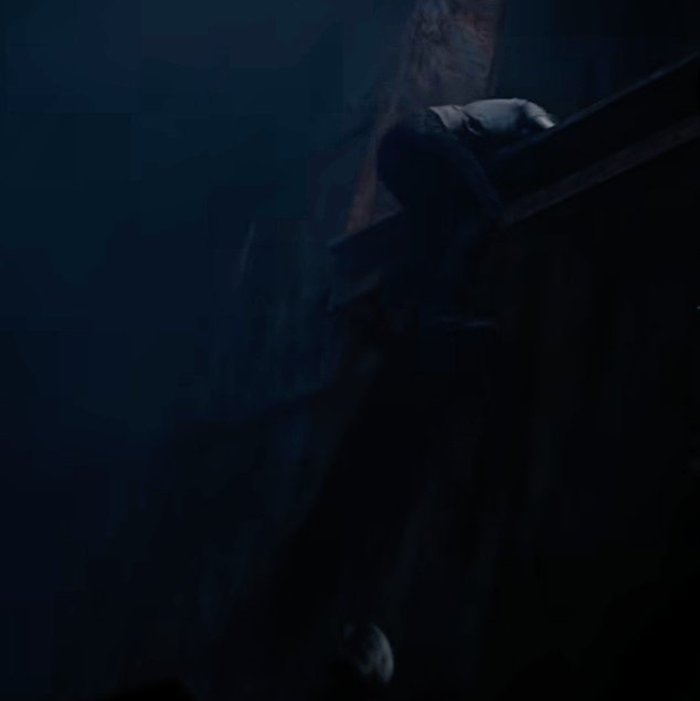 Making sure she gets to safety first ☹️ sobs