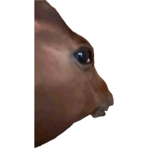 nully 🖤 tweet media