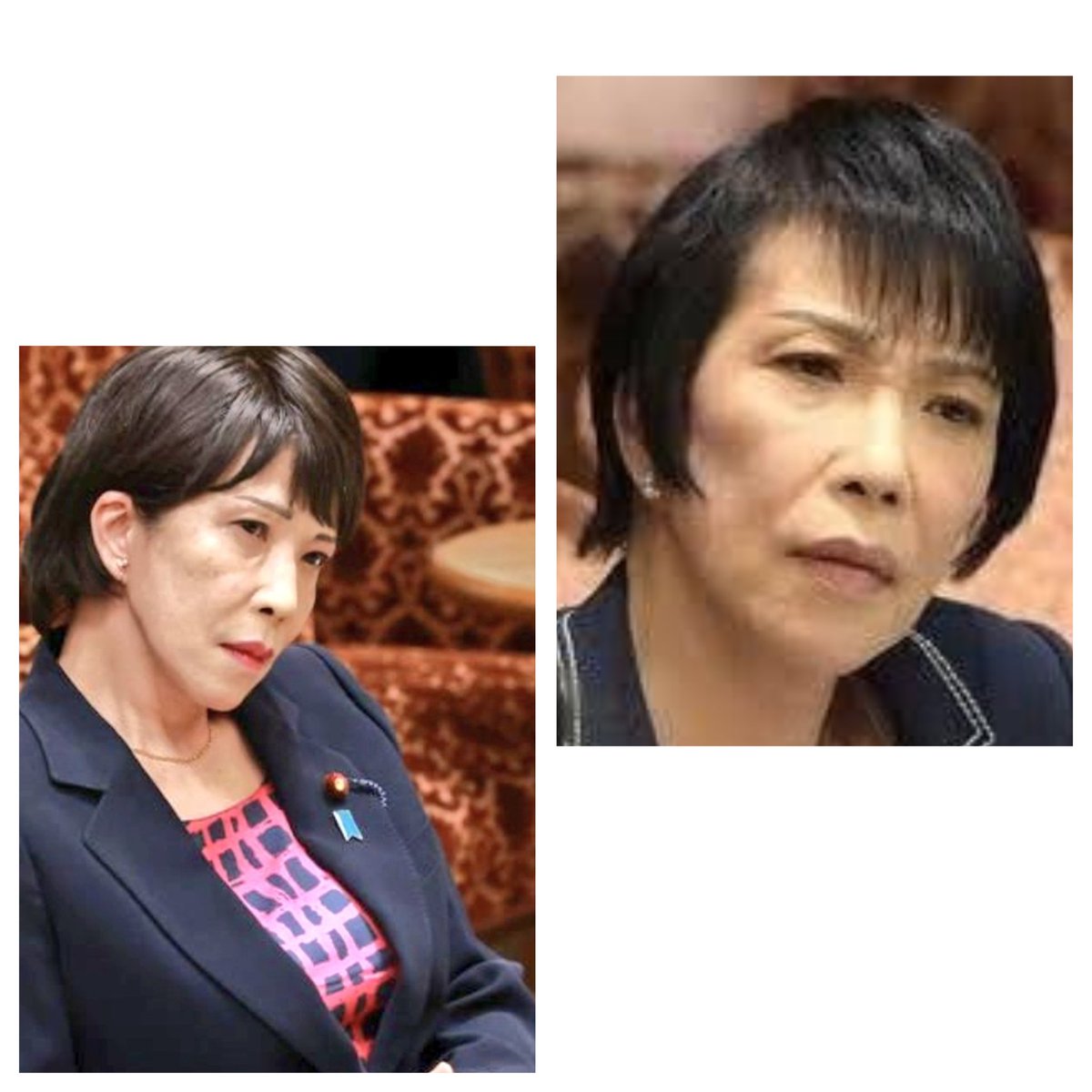 そう。
私の中の高市早苗はこのイメージなんですよ。あの今の嘘臭い笑顔ではなく。

#なんか意地悪やなぁ自民党