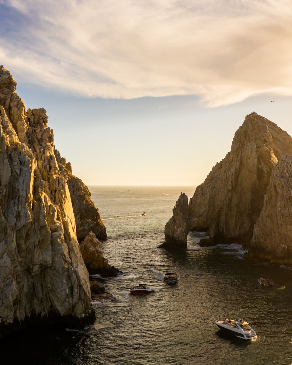 c13studio tweet media